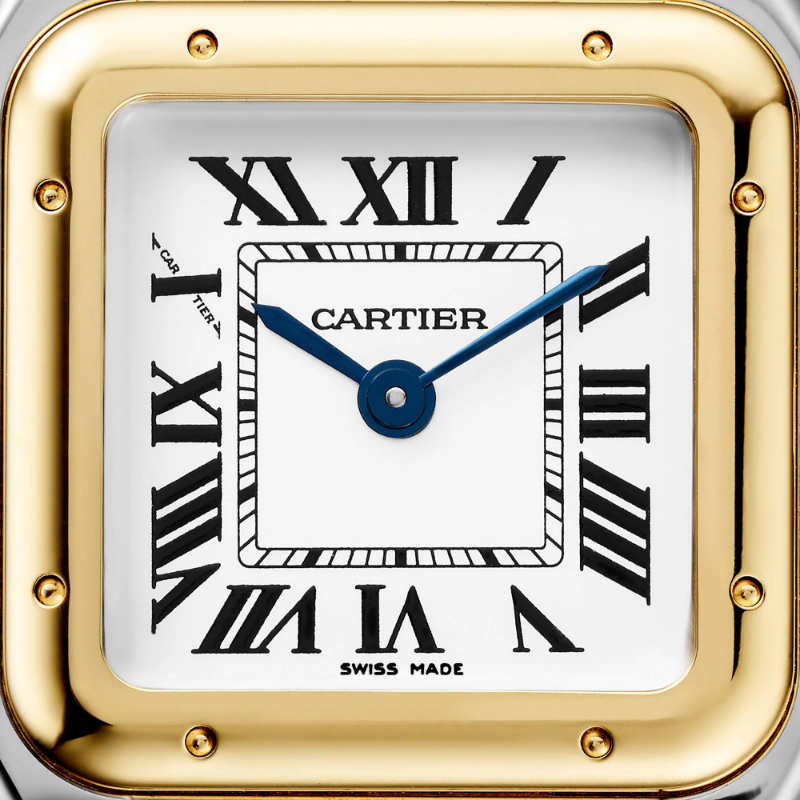 Resim Panthère de Cartier