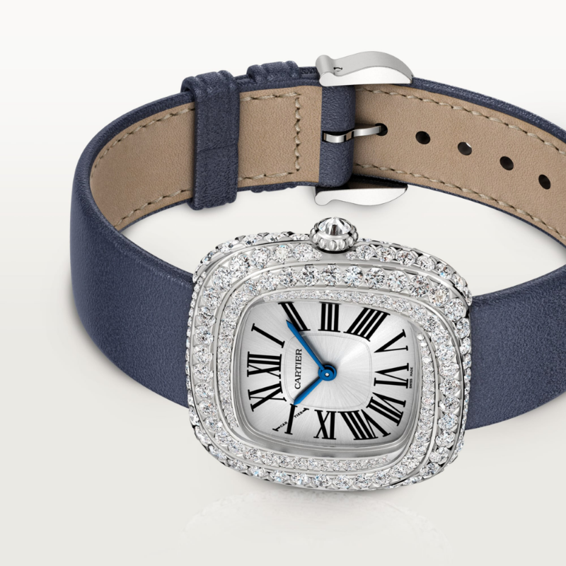 Resim COUSSIN DE CARTIER WATCH