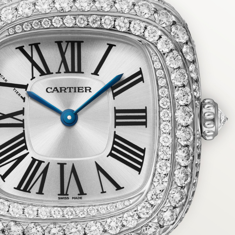 Resim COUSSIN DE CARTIER WATCH